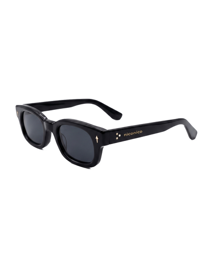 Sunglasses Turtle Wayfarer Shell - Black