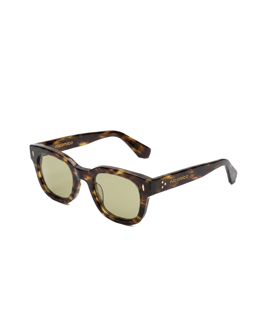 Sunglasses Turtle Wayfarer Shell - Black